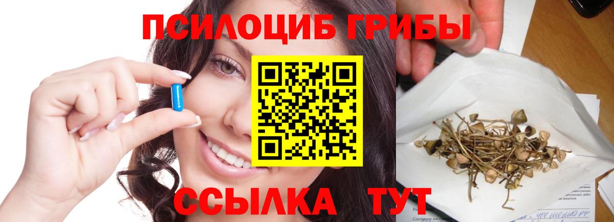 Стрежевой  Галлюциногенные грибы прущие грибы  Псилоцибиновые грибы прущие грибы  Вход с VPN 